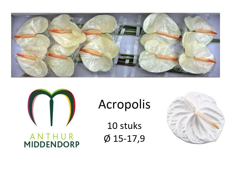 Acropolis
