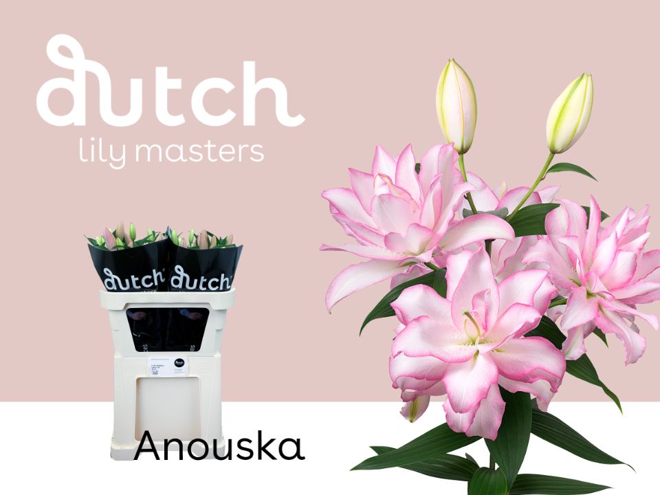 Anouska Double