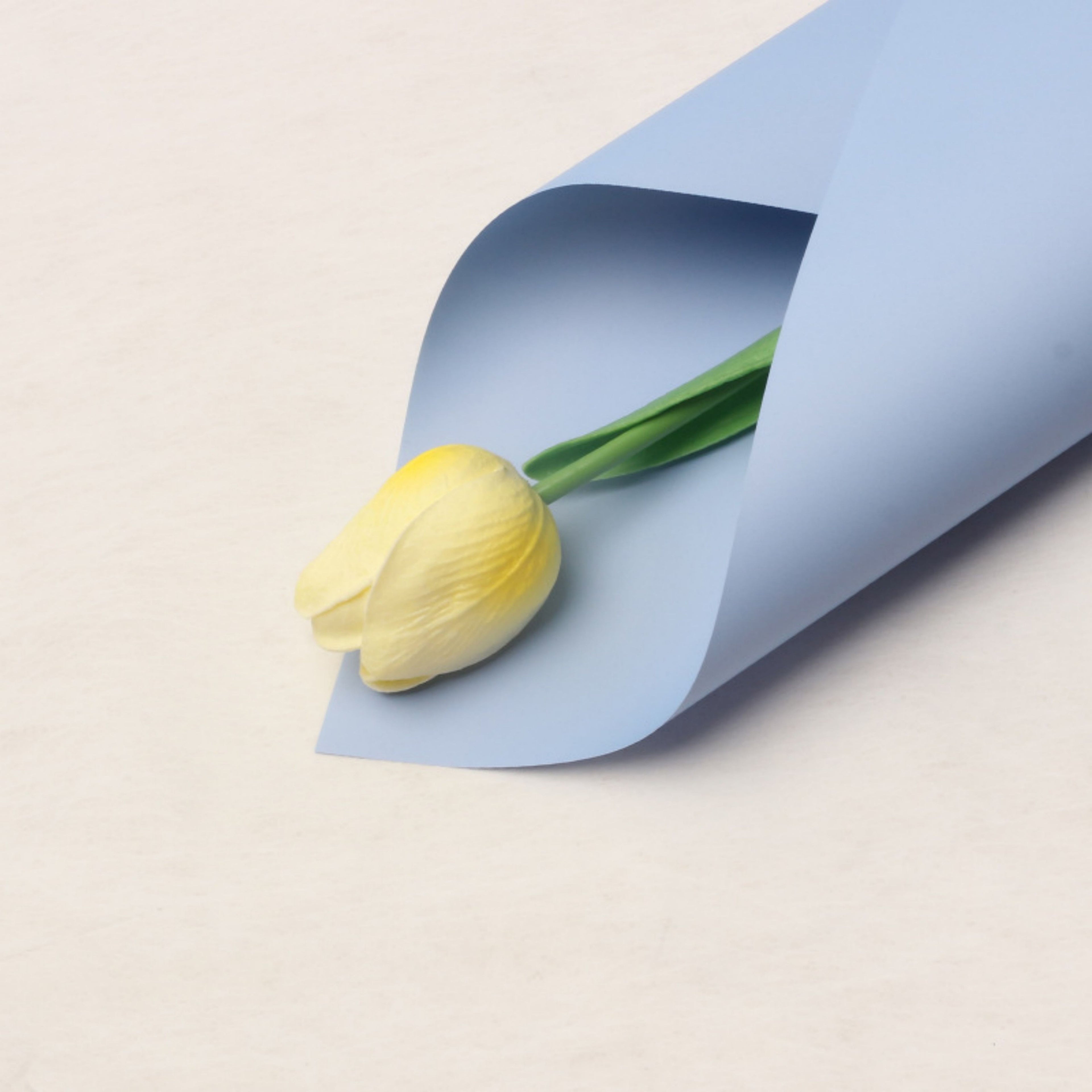 Matte Wrapping Paper - Blue