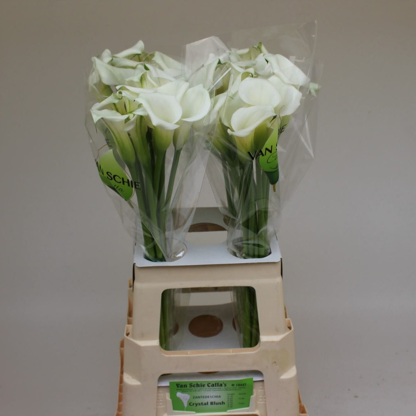 Calla Crystal Blush