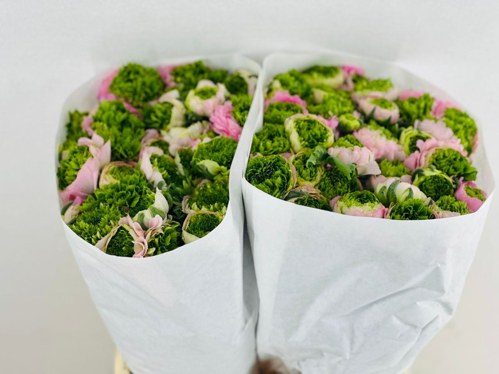 Clooney Festival Pink