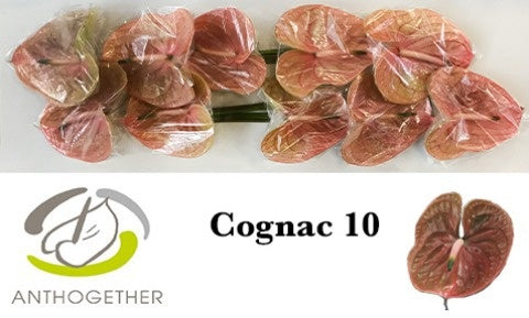 Cognac