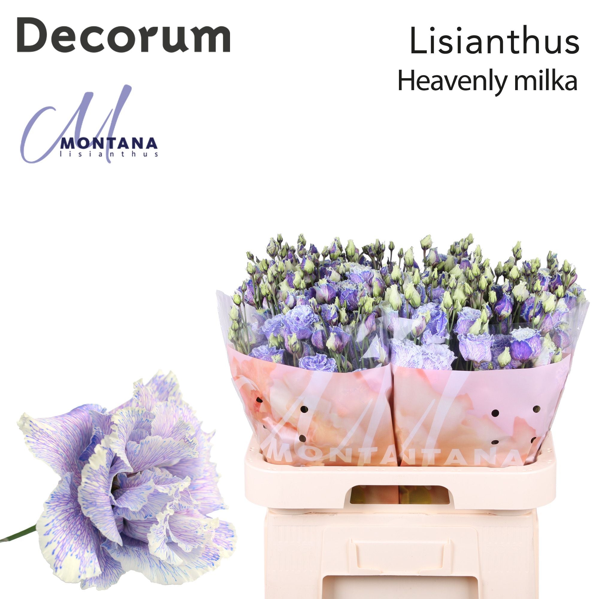 Dye Heavenly Milka