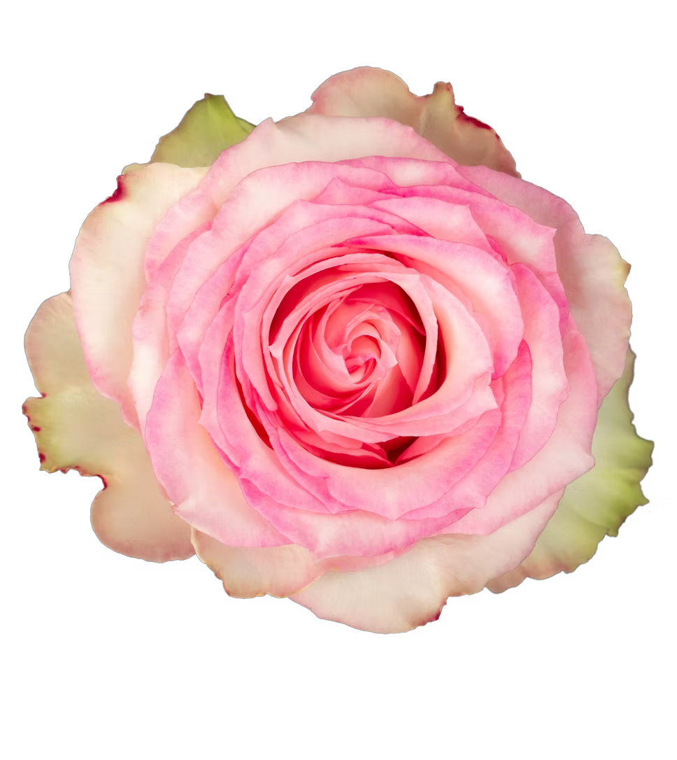 Esperance