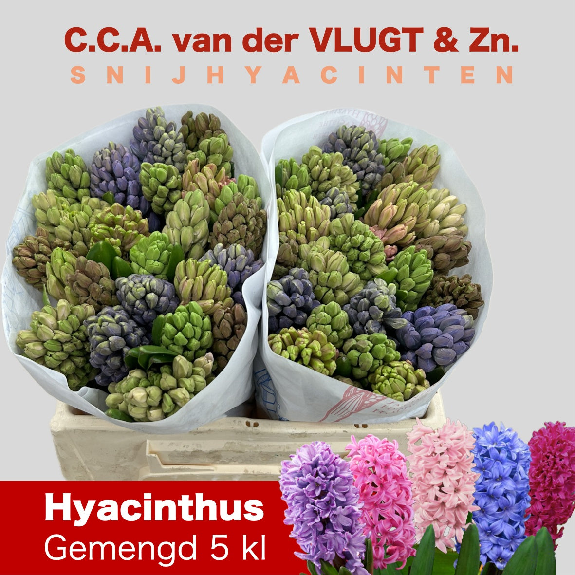 Gem 5 Kleuren