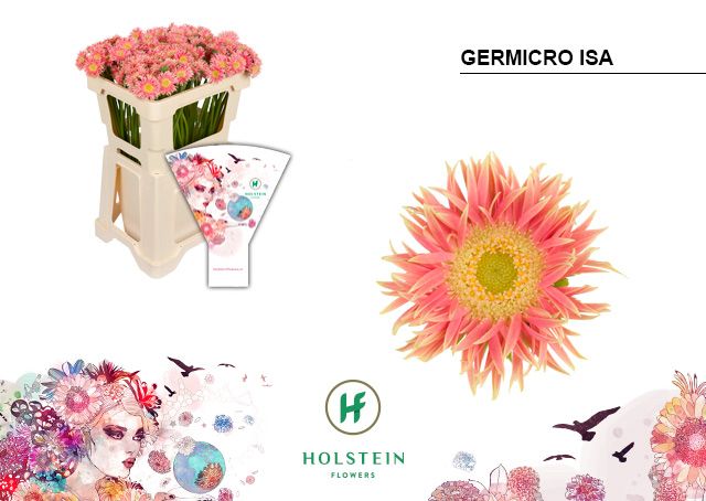 Germicro Isa