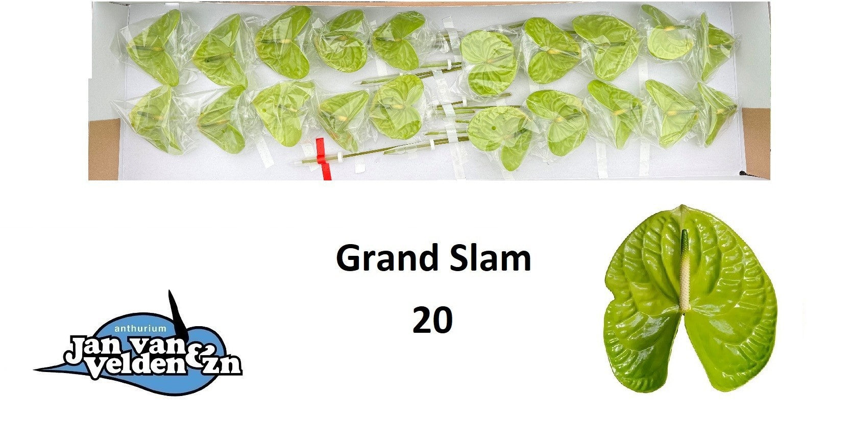 Grand Slam