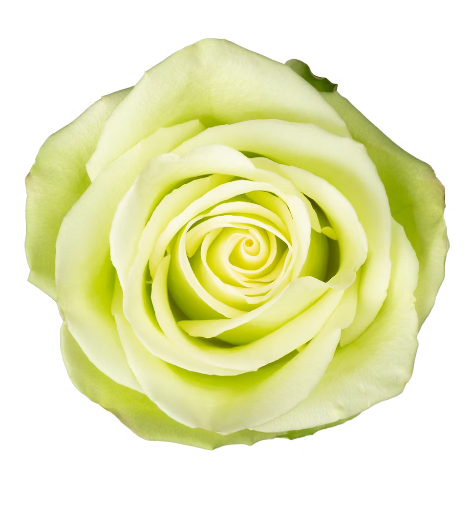 Green Romance