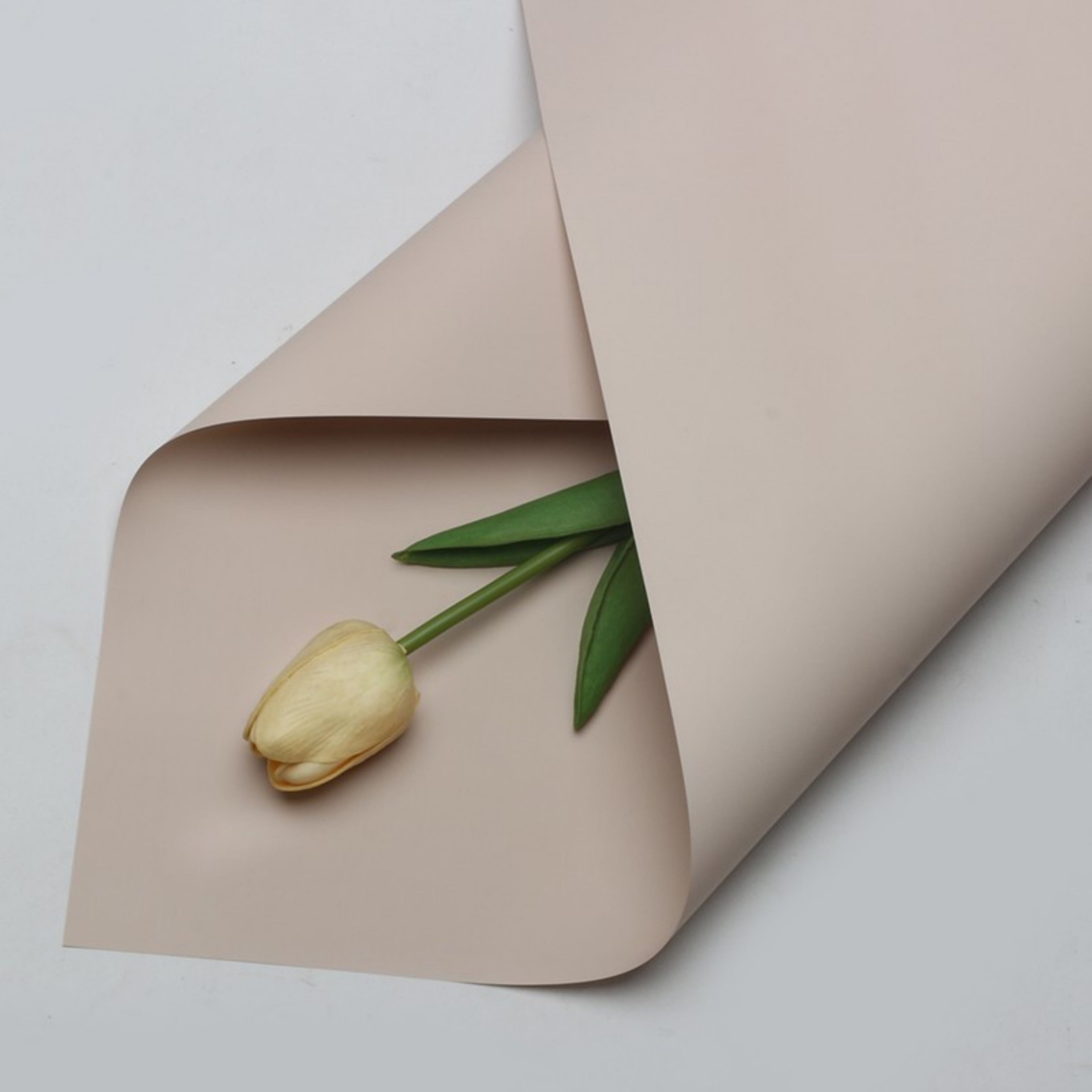 Matte Wrapping Paper - Iced Latte