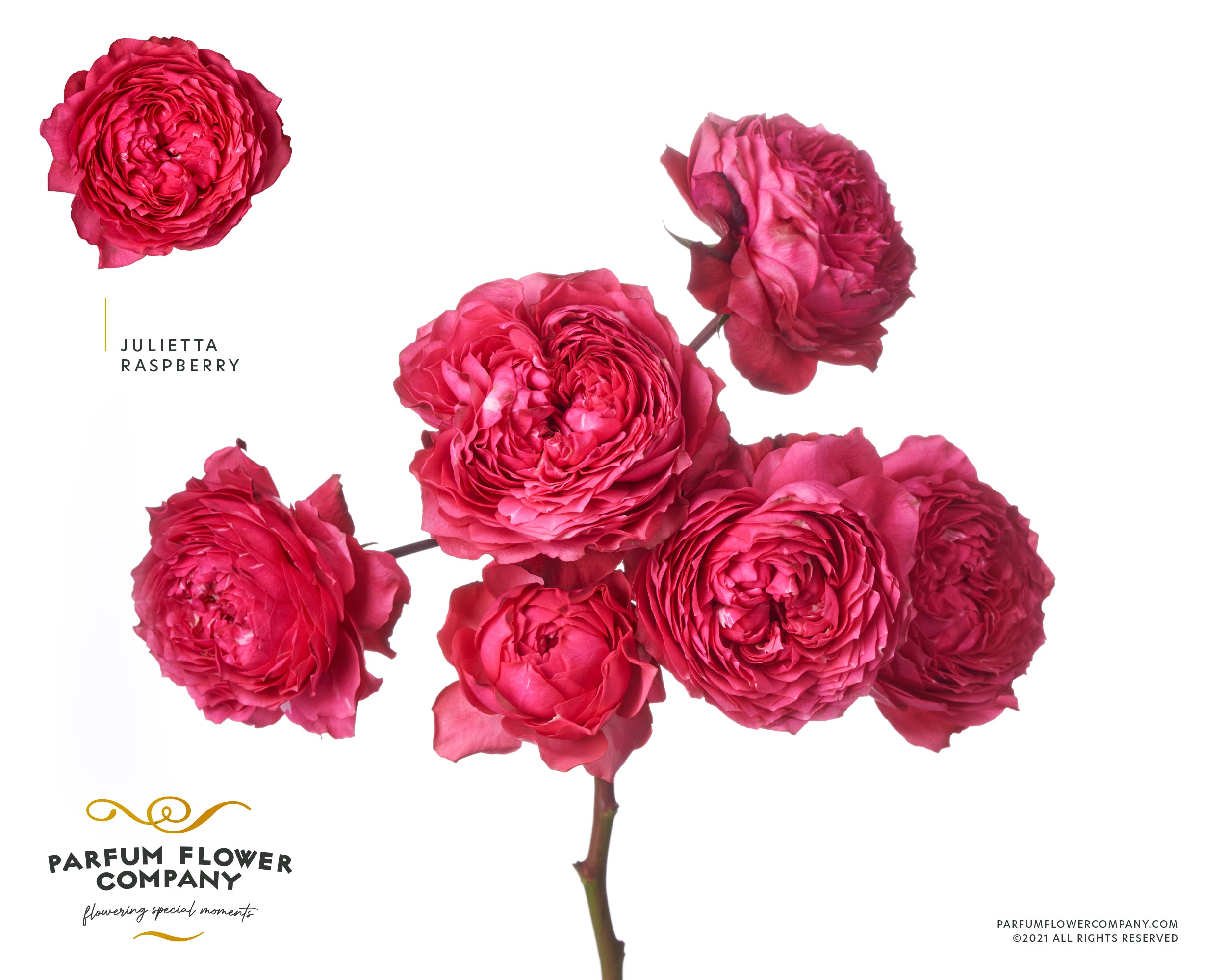 Julietta Raspberry