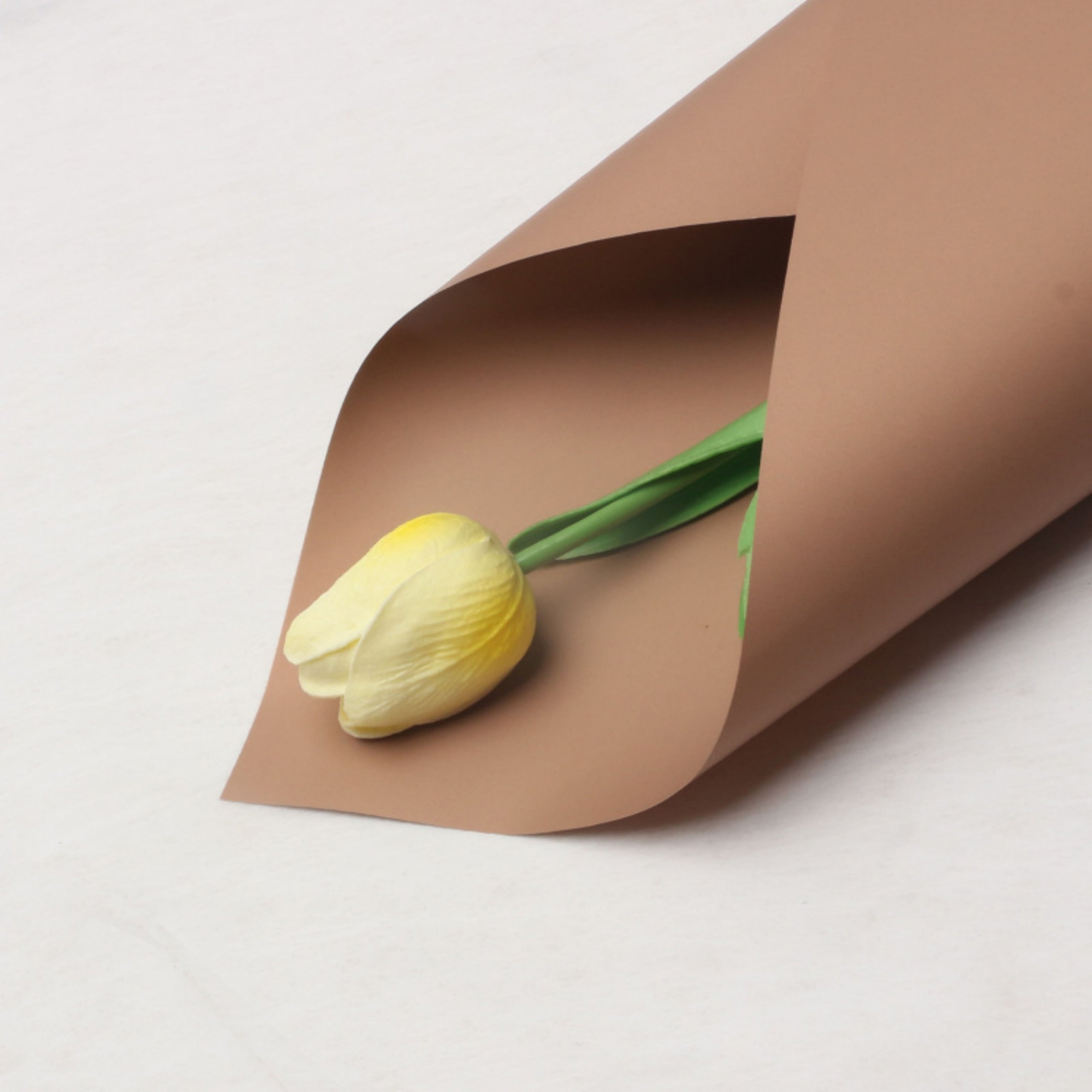 Matte Wrapping Paper - Light Brown