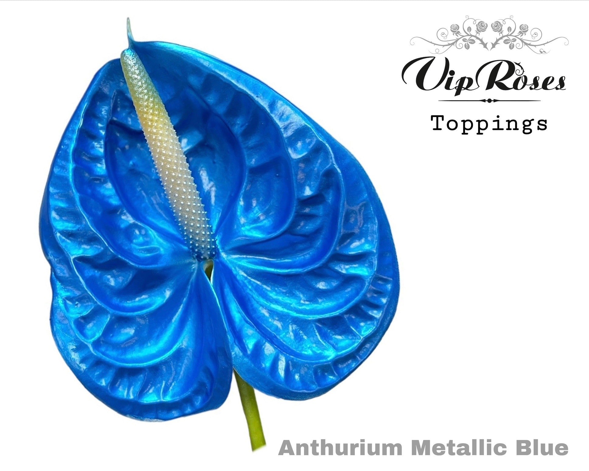 Metallic Blue