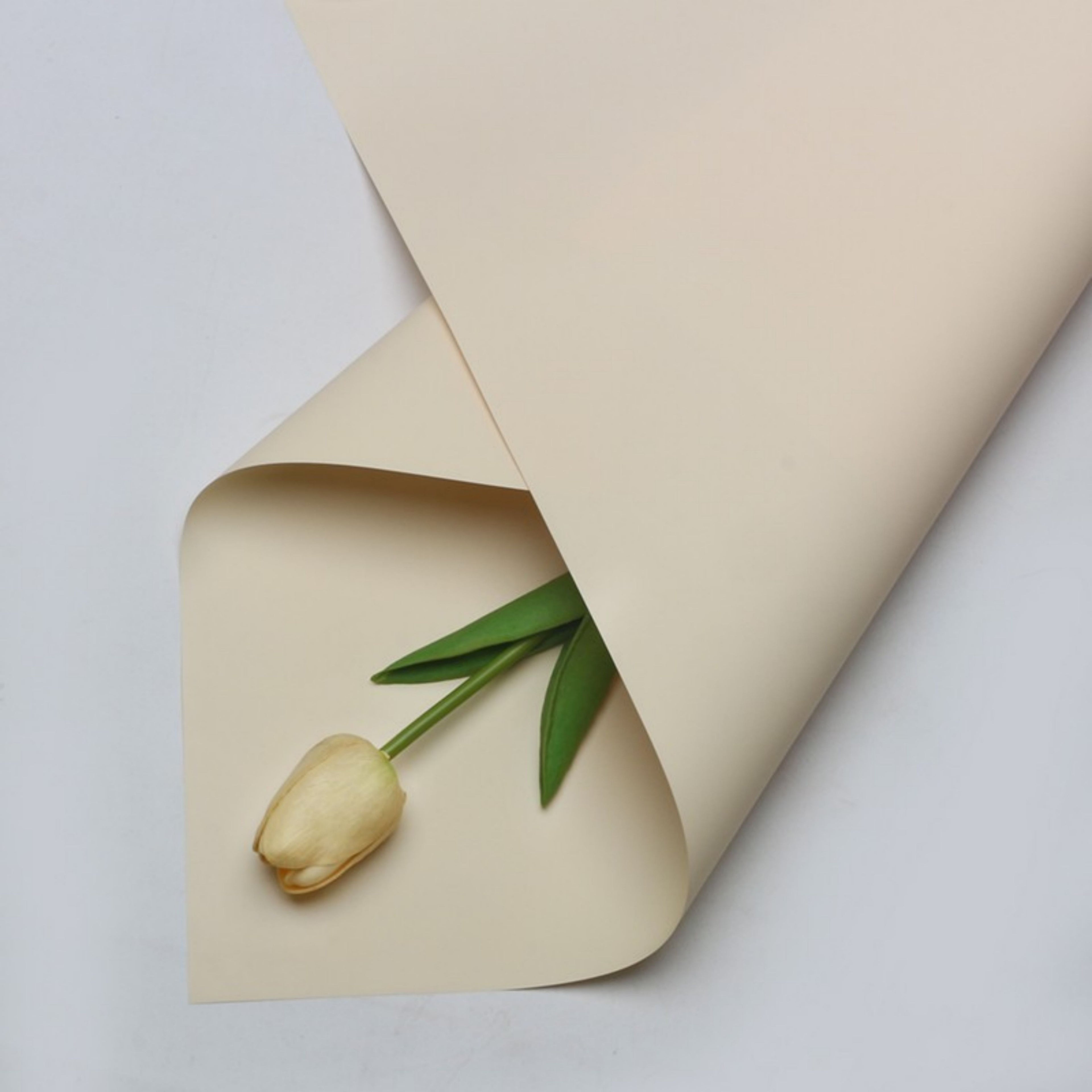 Matte Wrapping Paper - Milky Yellow