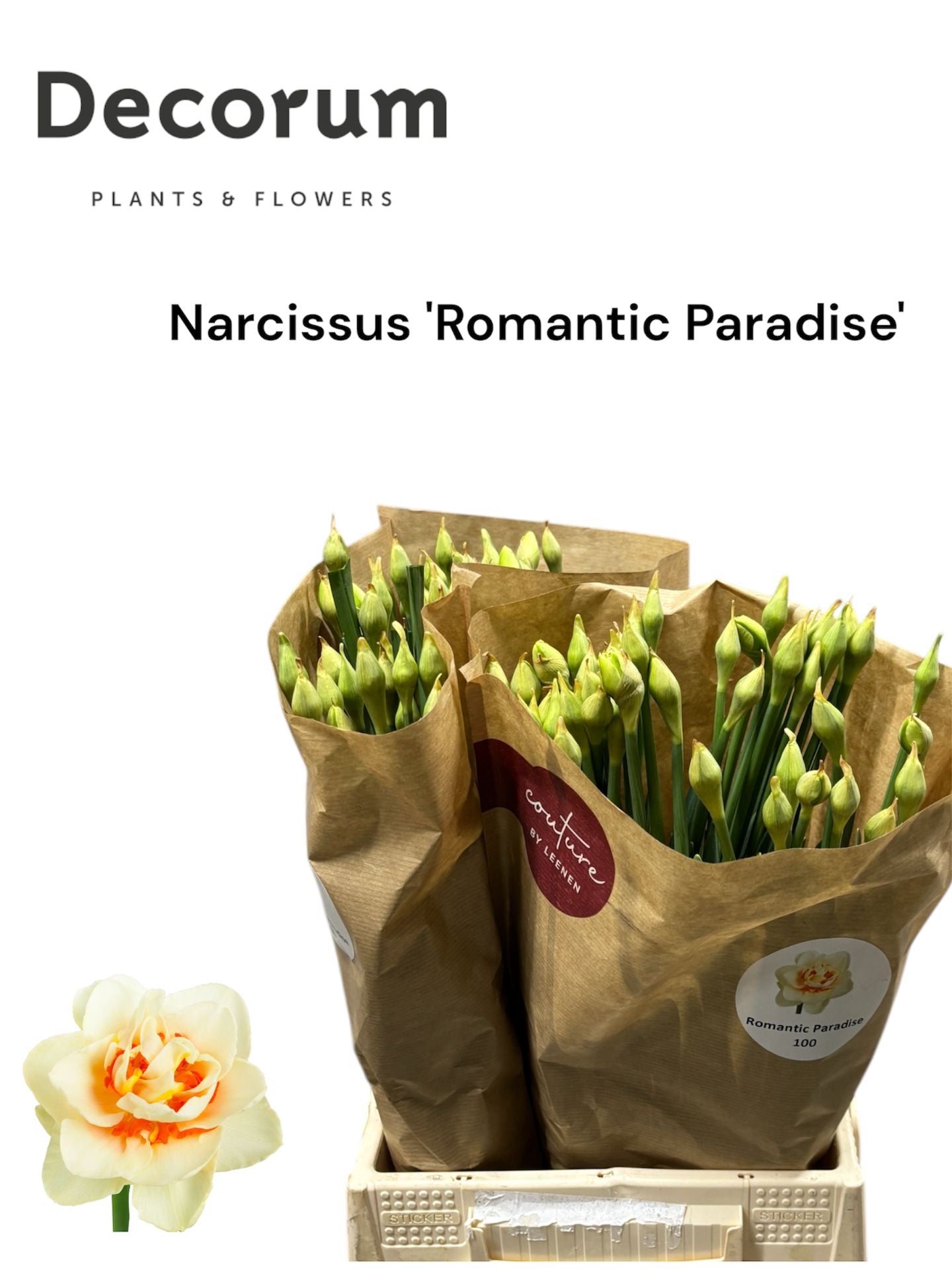 Romantic Paradise