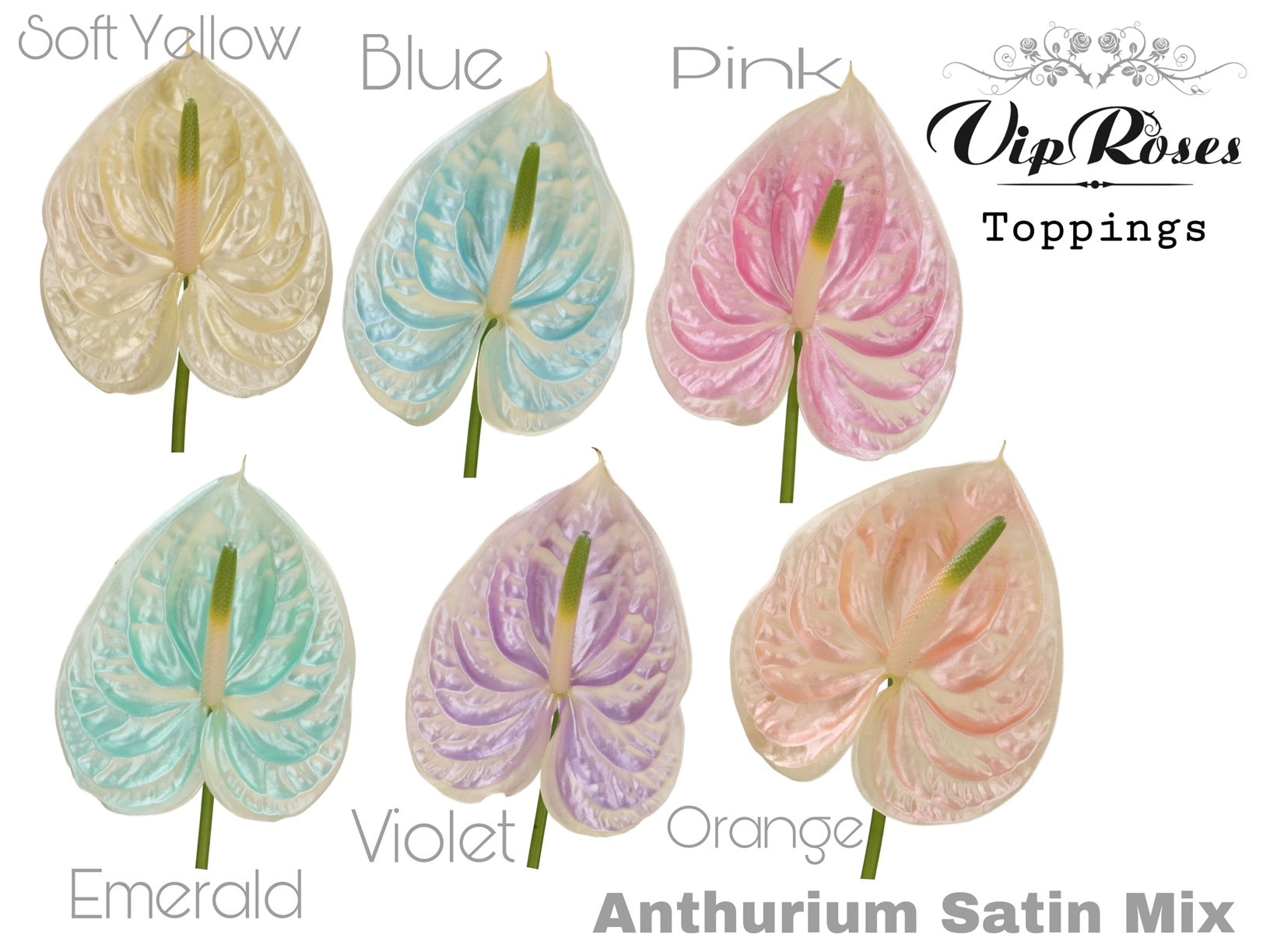 Satin Mix
