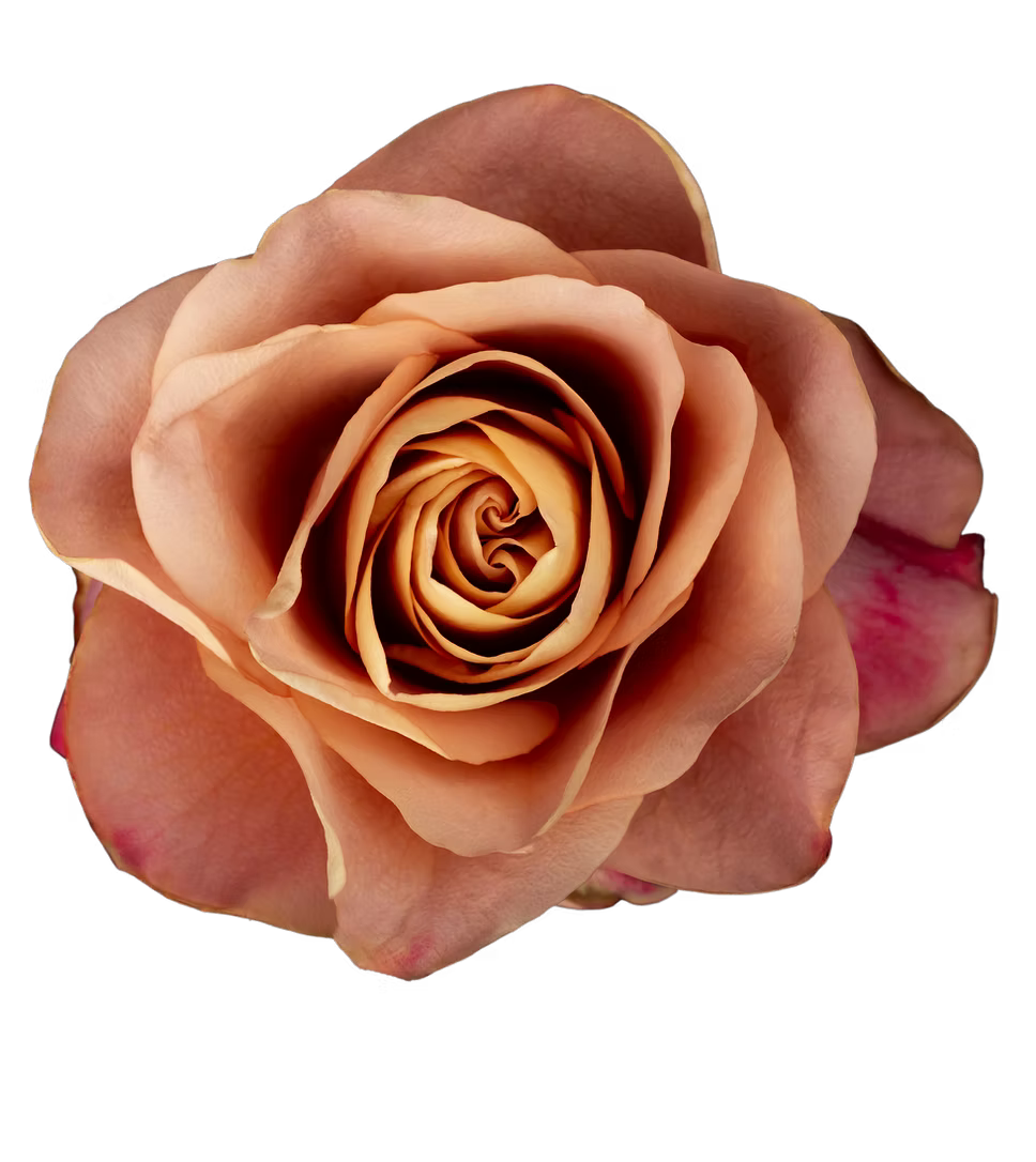 Symbol