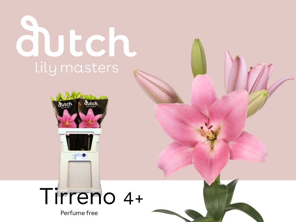 Tirreno