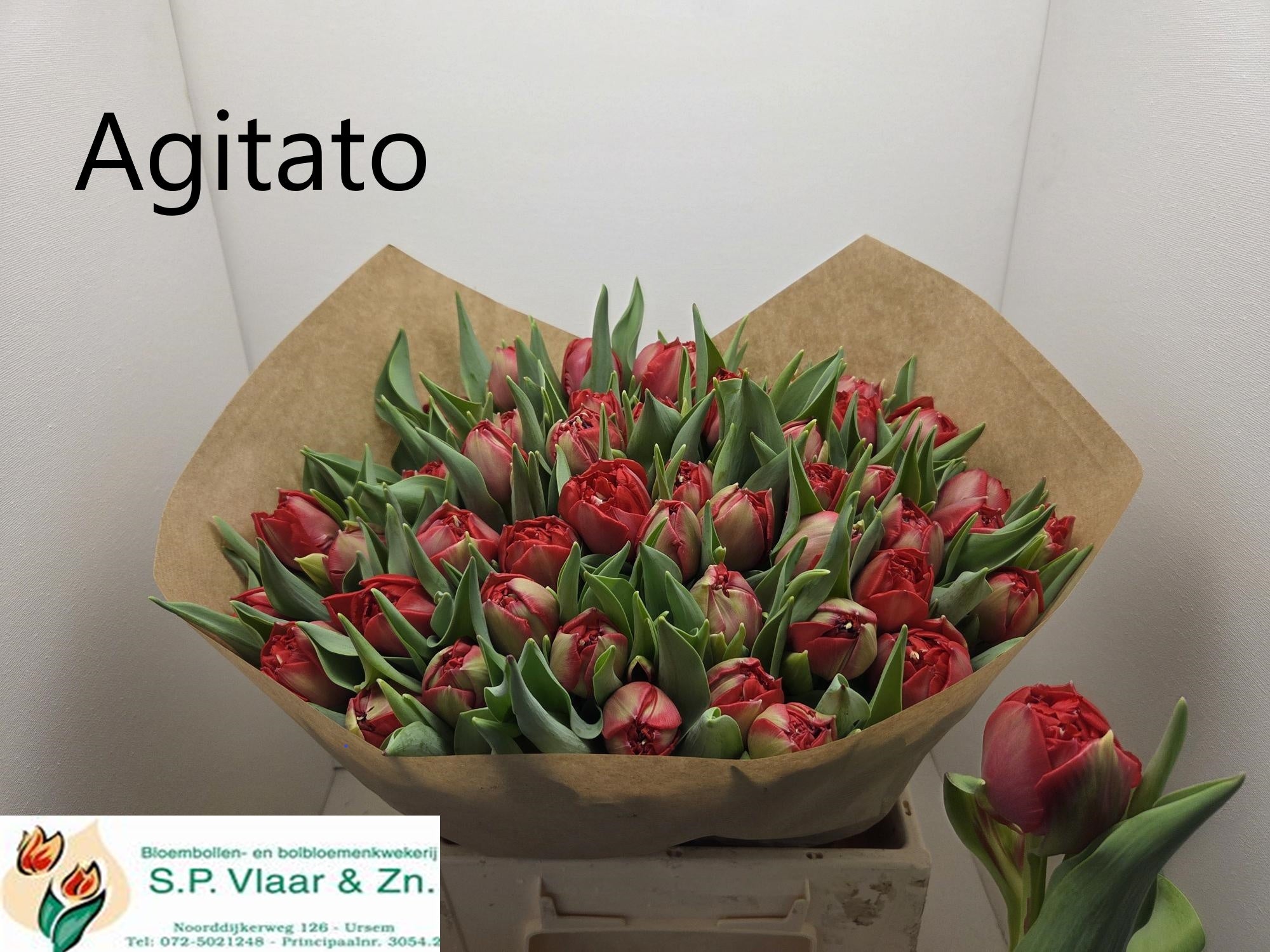 Agitato