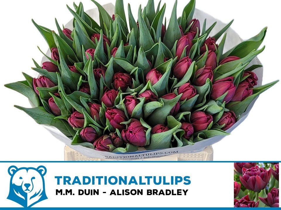Alison Bradley