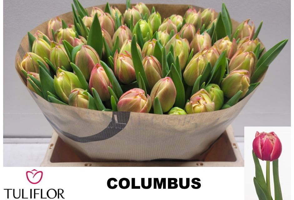 Columbus