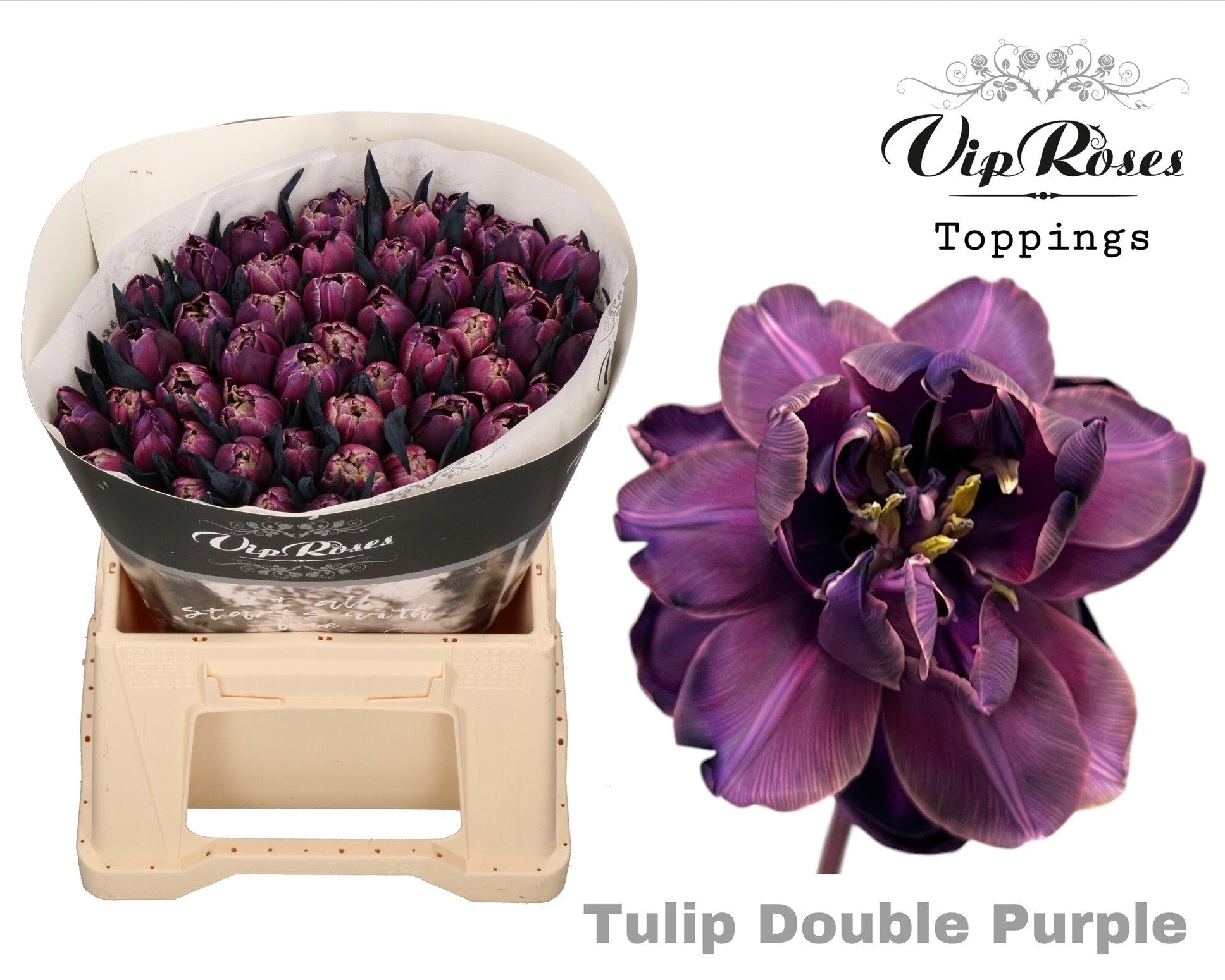 Double Purple