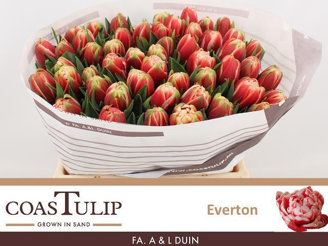 Everton
