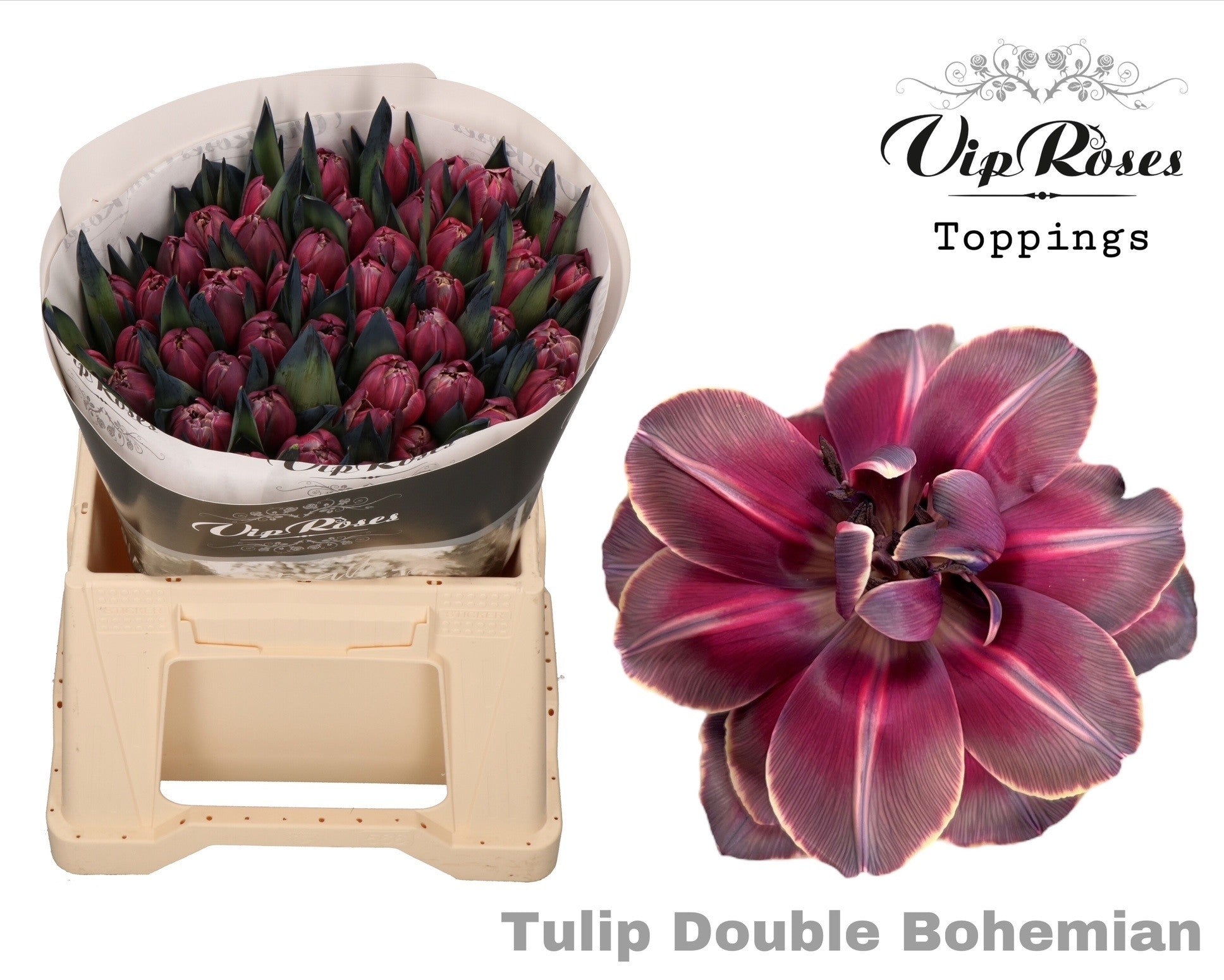 Vip Double Bohemian