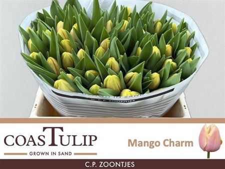 Mango Charm