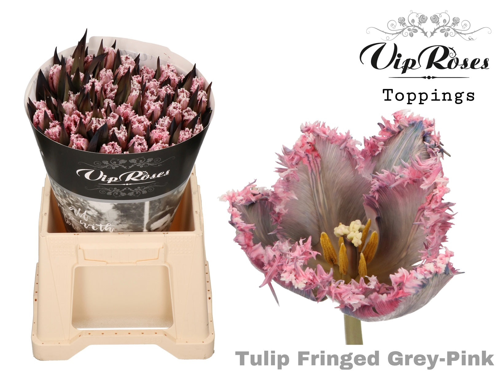 Fringed Grey Pink