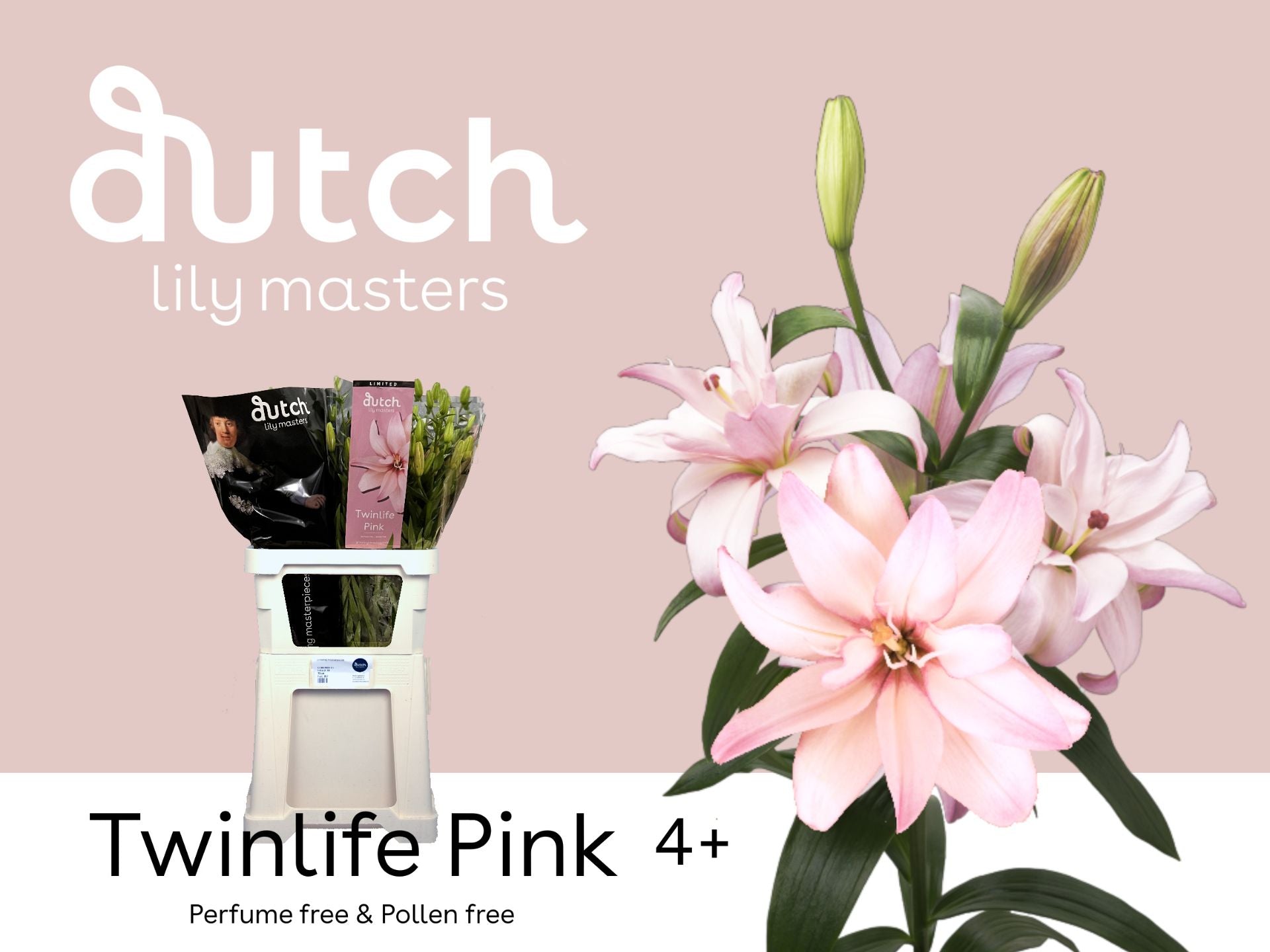 Twinlife Pink Double