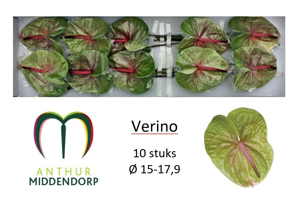 Verino