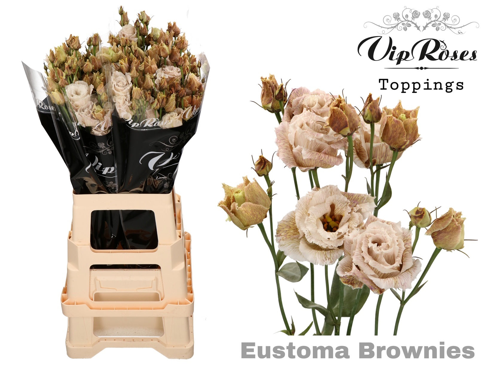 Vip Allisa Brownies