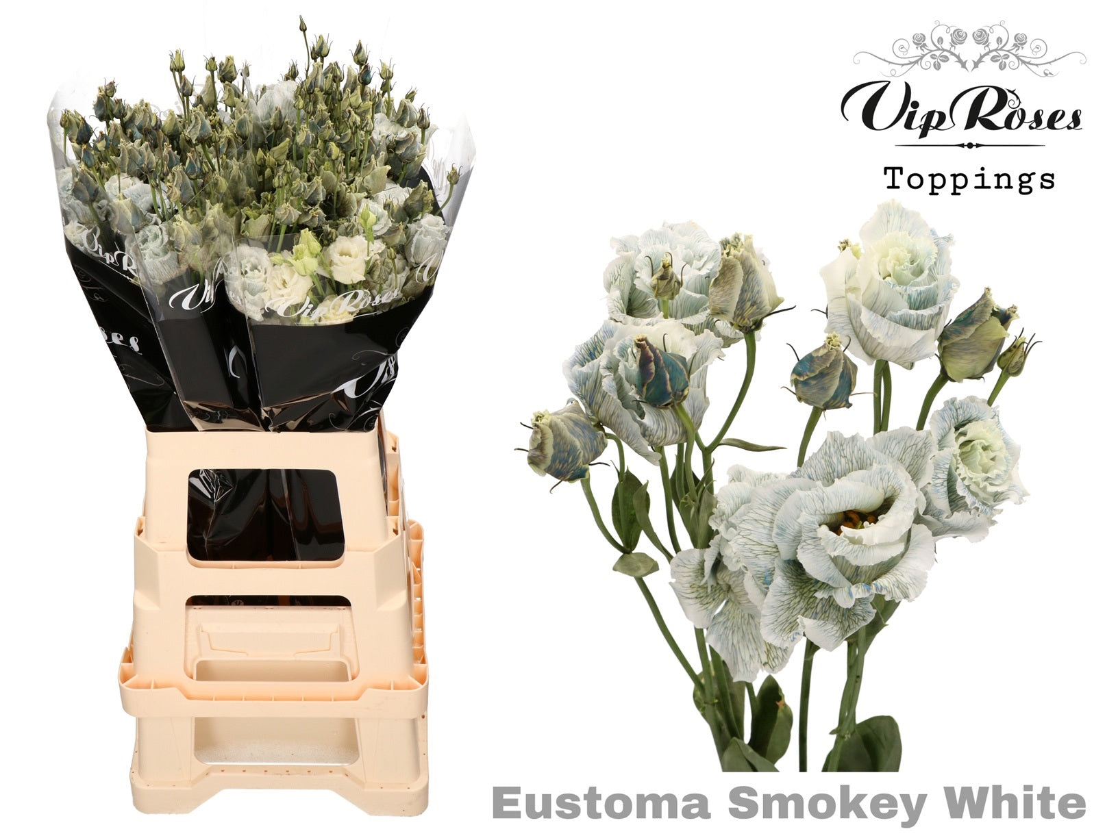 Vip Allisa Smokey White