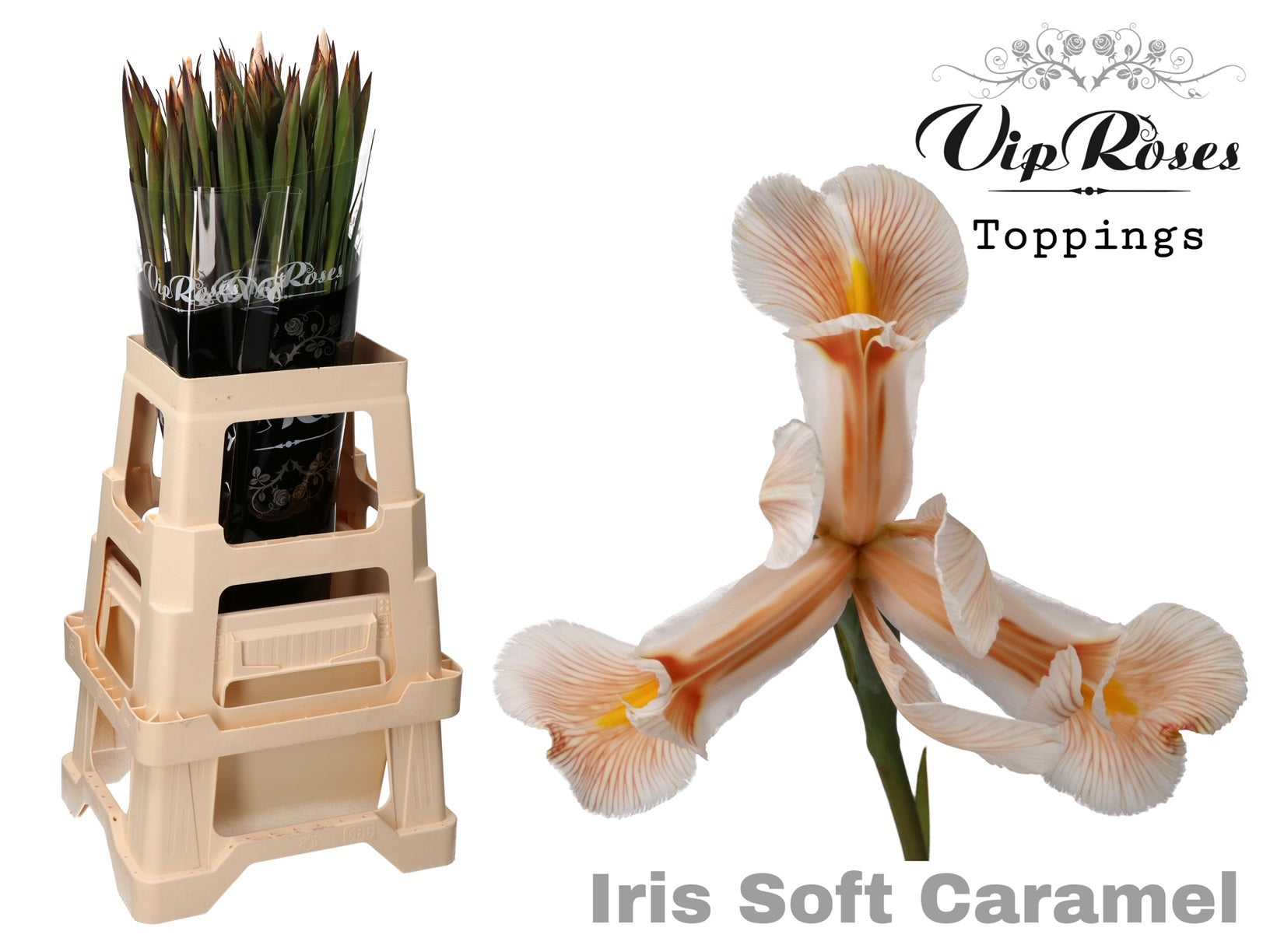 Vip Soft Caramel