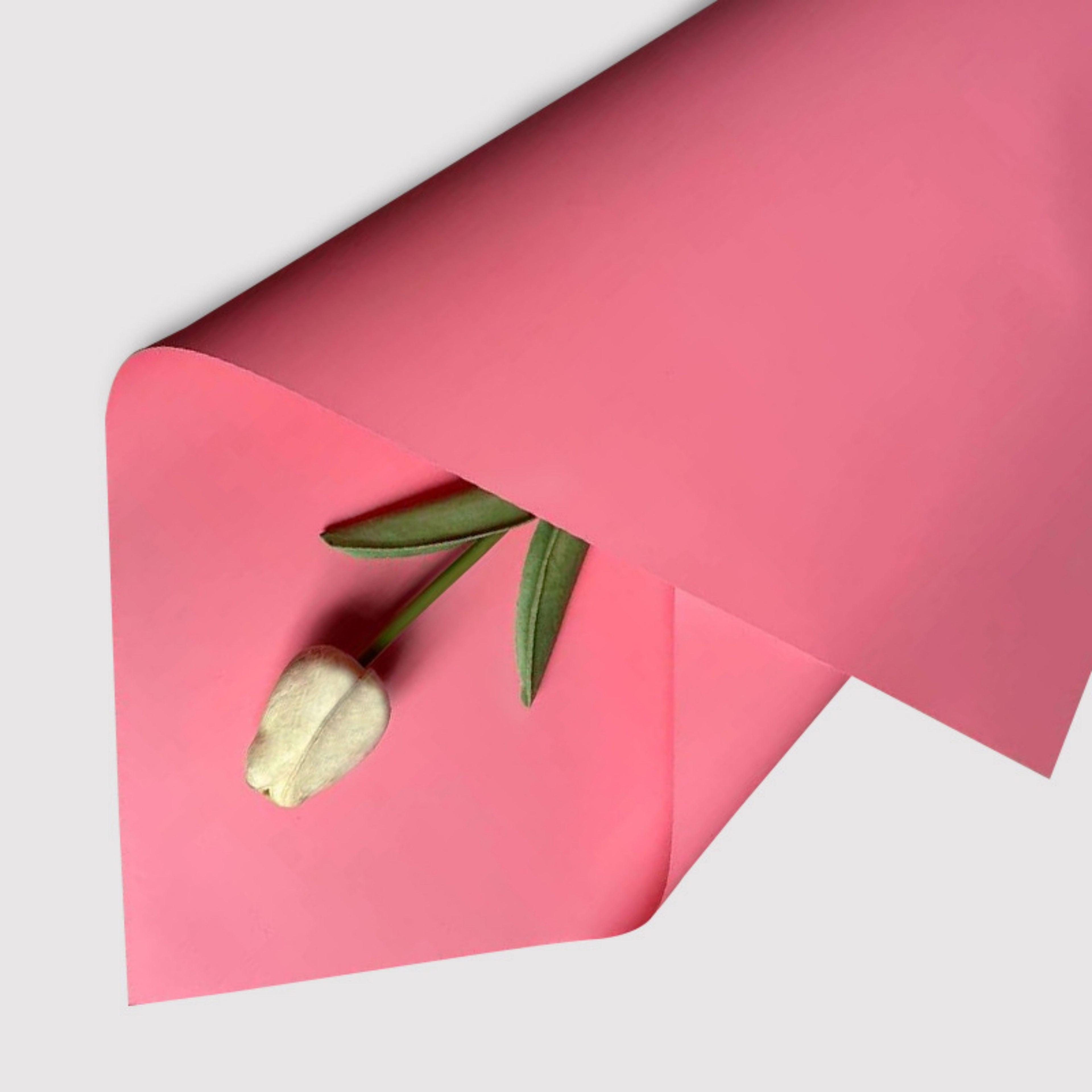 Matte Wrapping Paper - Watermelon
