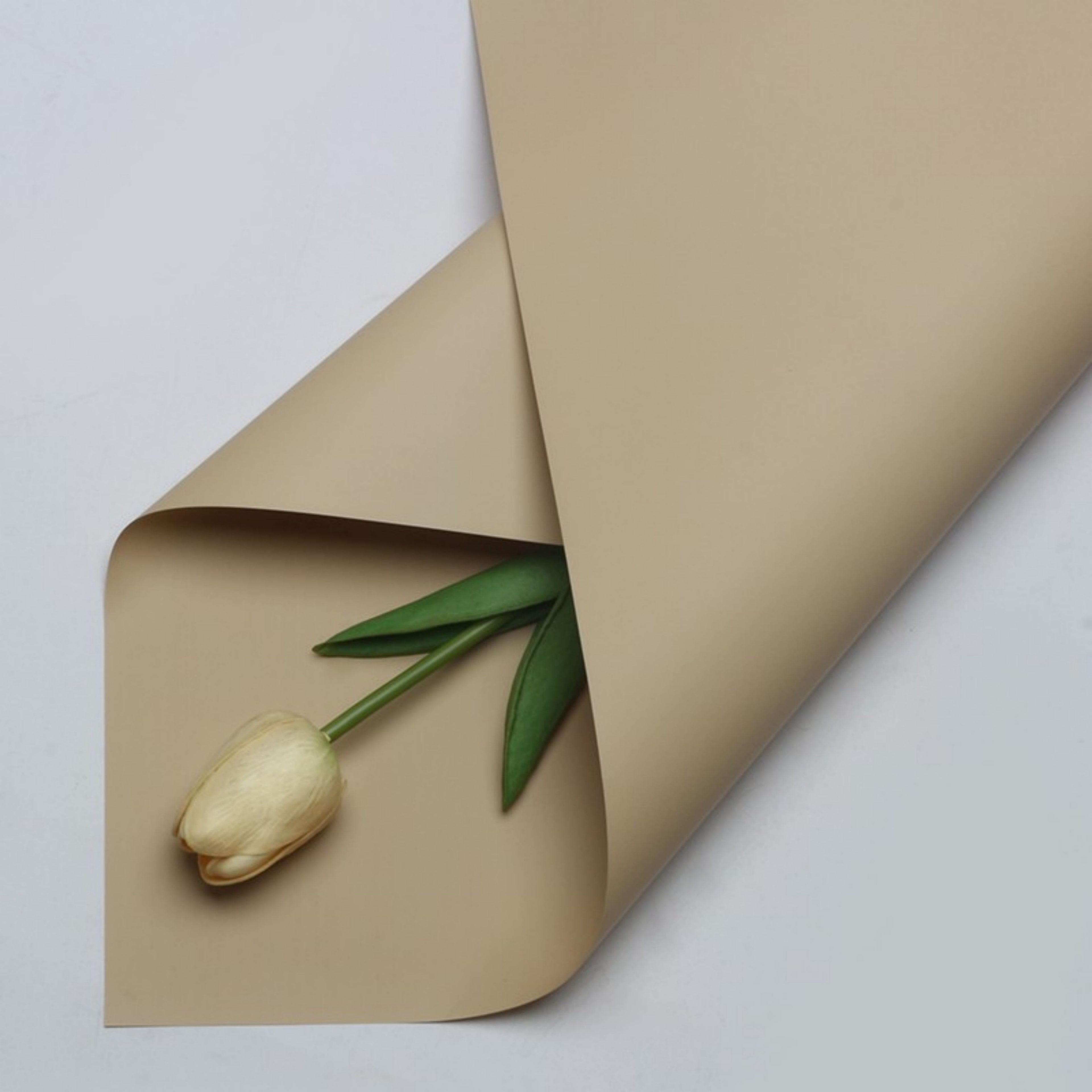 Matte Wrapping Paper - Beige